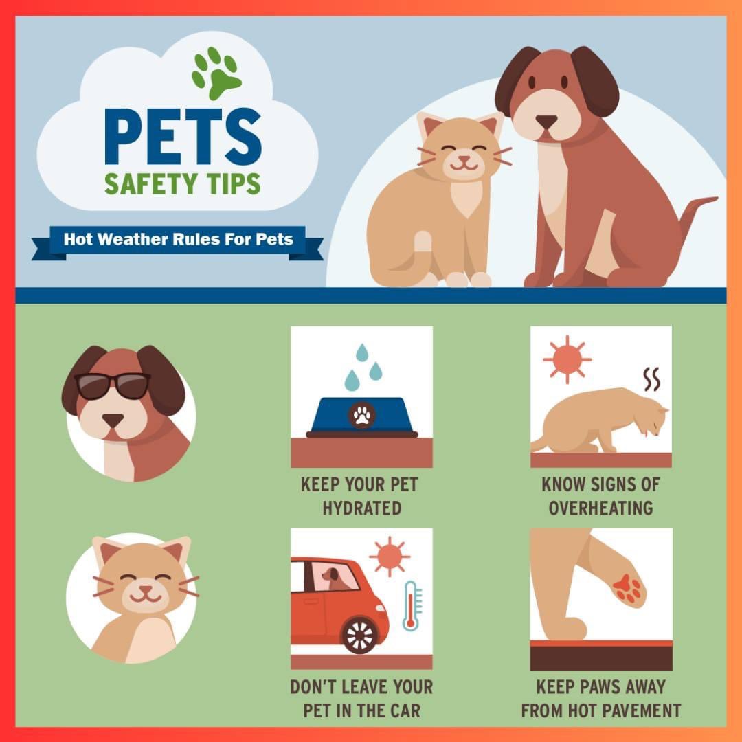 Canton CT Police tweet media