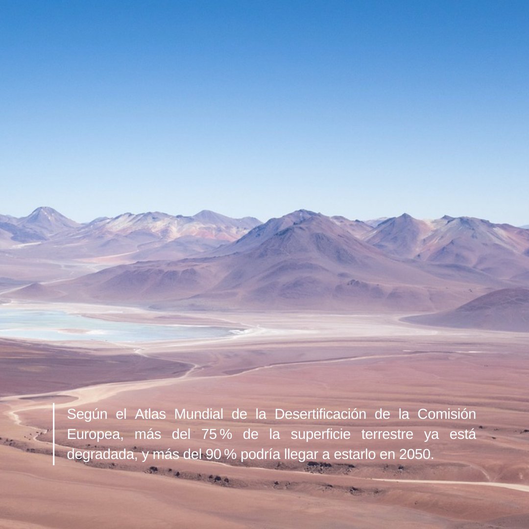 moja_mx tweet picture