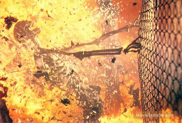 MikeDrucker's tweet image. damn, dude