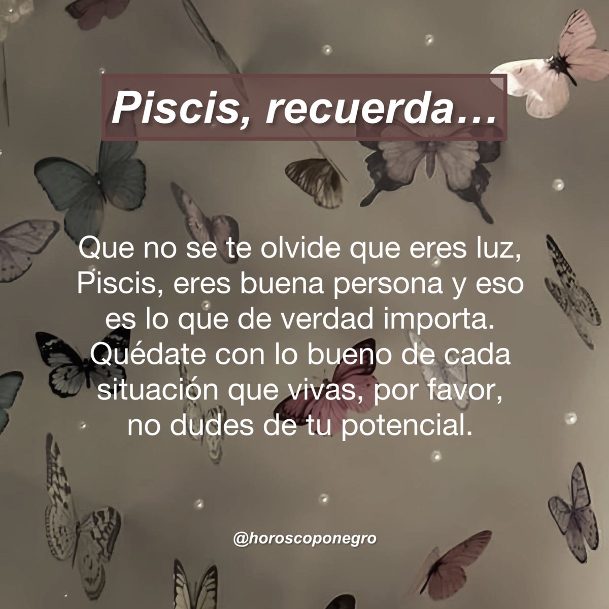 piscis_hn's tweet photo. Nadie dijo que fuera fácil, Piscis ✨🔮✨ https://t.co/JHm9kQ3PiB