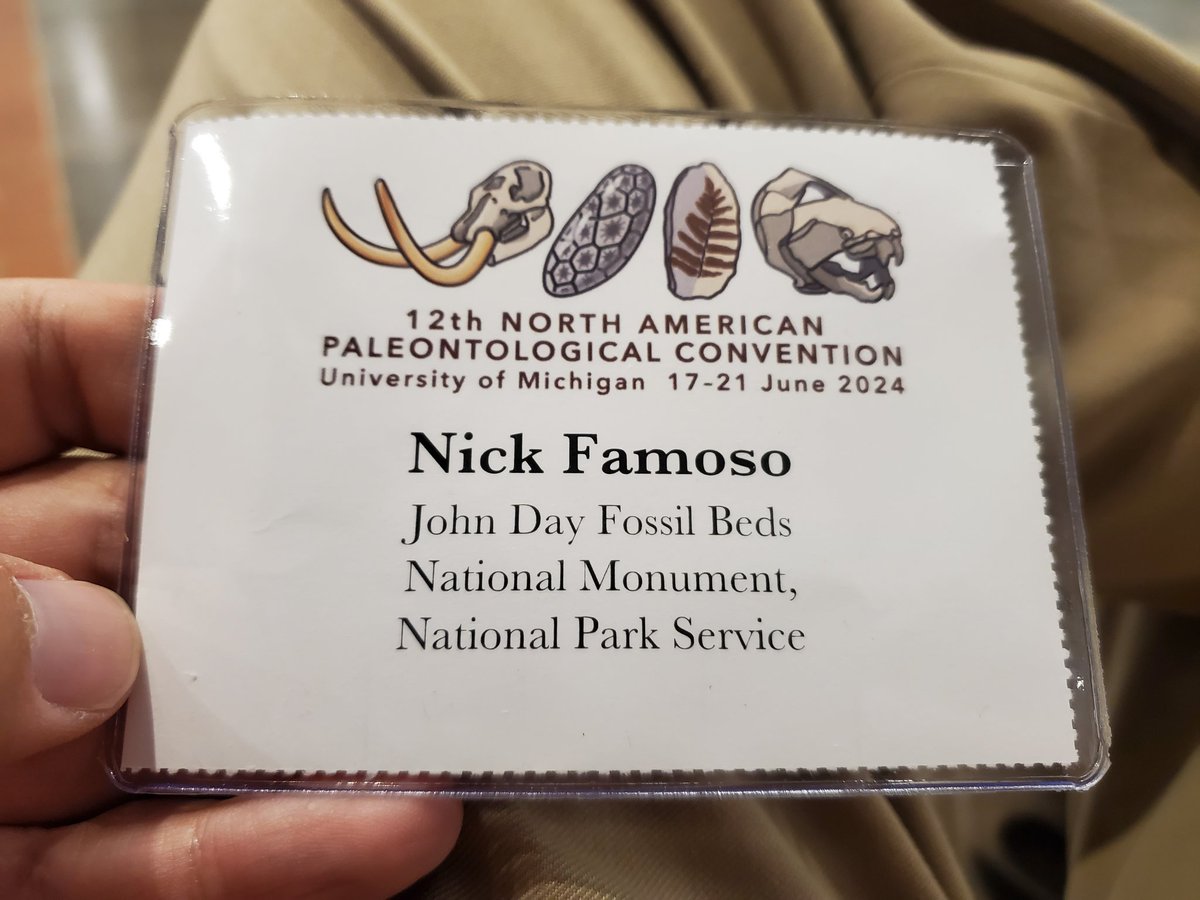 nafamoso_paleo's tweet image. #NAPC2024