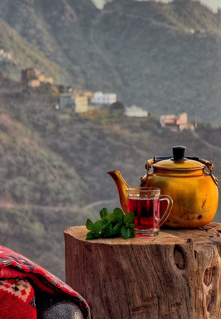 و‌مثلُك لا يُـرَدُّ ولا يُـعابُ 
كـشاي العصر حلوٌ مُستَطابُ."