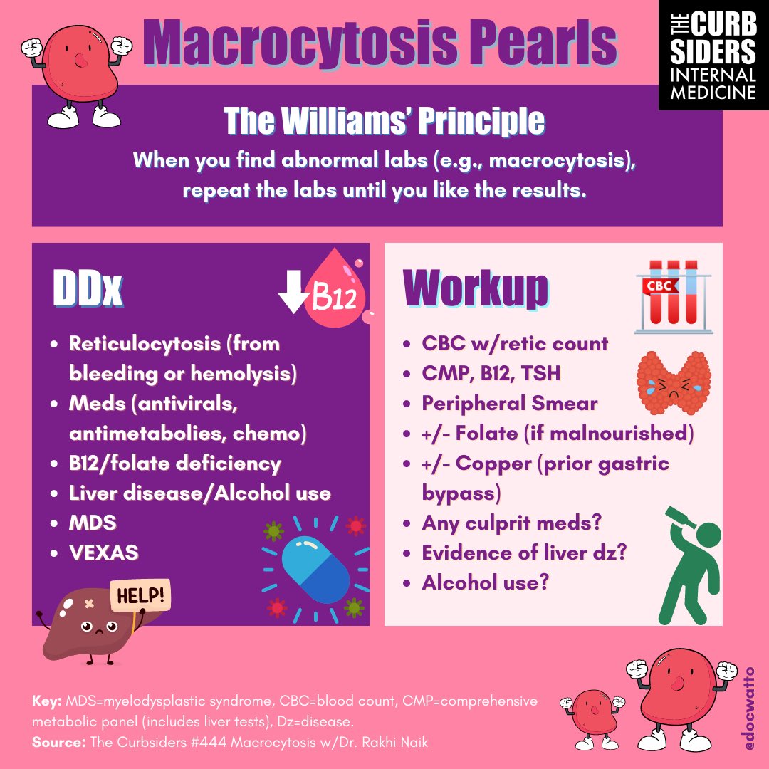The Curbsiders (@thecurbsiders) on Twitter photo NEW Episode!!!!🎙️#444 Macrocytosis, Hemolytic Anemia, Myelodysplastic Syndrome Recorded LIVE! At Johns Hopkins Internal Medicine Grand Rounds We’re joined by hematologist and pun enthusiast Dr. Rakhi Naik MD, MHS, <a href="/redcell_doc/">Rakhi Naik, MD MHS</a> @hopkinsheme. #internalmed thecurbsiders.com/curbsiders-pod… NEW Episode!!!!🎙️#444 Macrocytosis, Hemolytic Anemia, Myelodysplastic Syndrome Recorded LIVE! At Johns Hopkins Internal Medicine Grand Rounds We’re joined by hematologist and pun enthusiast Dr. Rakhi Naik MD, MHS, <a href="/redcell_doc/">Rakhi Naik, MD MHS</a> @hopkinsheme. #internalmed thecurbsiders.com/curbsiders-pod…
