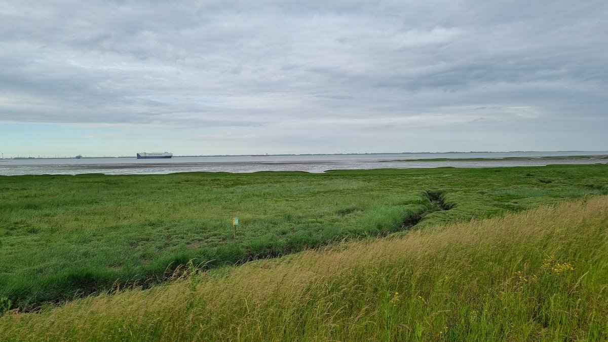 PeterMeranti's tweet image. Paulinaschor