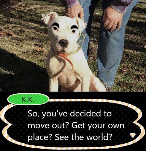 rae ୨୧ (@cosybunnie) on Twitter photo 