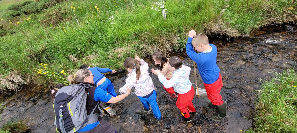 Miss Innes tweet media