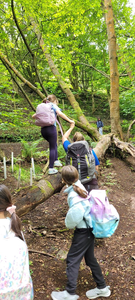 Miss Innes tweet media