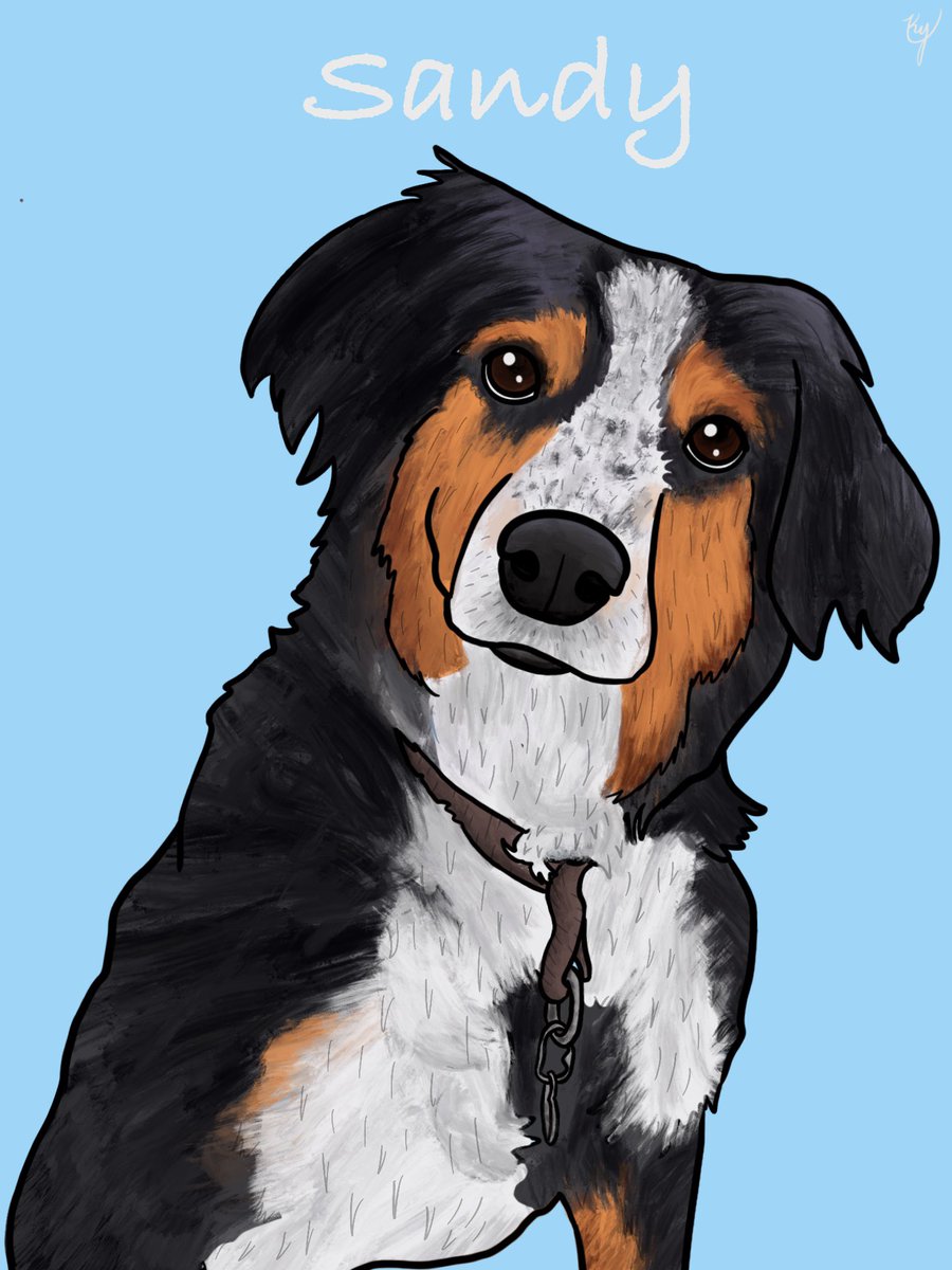 LivePaintCreate's tweet photo. Look at beautiful Sandy! Thanks to @canexplores for letting me draw your cute little doggie! 

Message me if interested in a portrait! #dogportrait #petlovers #doginstagram❤️ #dogmomsofinstagram #petportraits #customart #smallartist #petstagram https://t.co/lOfArExpK0