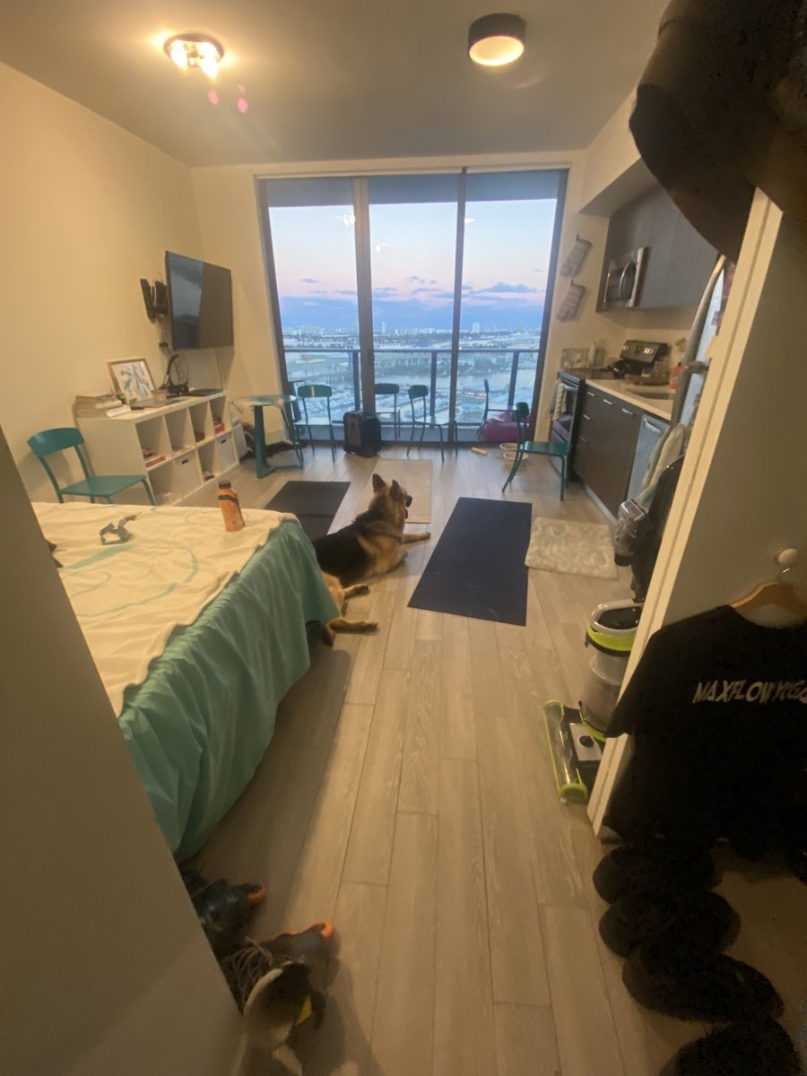 maxflowyoga's tweet image. #BasicEssentials
The #FitFamRecipe:
- #BFF #Dog #GSD #GermanShepherd #Partner forever
- @CCMHockey #CCMHockey skates to #rollerblade around the world
- @Lululemon #Lululemon #MaxFlowYoga T +down vest 
- #yogaFlow #yogaMats
- @ECOXGEAR #EcoXGear Eco Boulder Max
- #King Size #Views