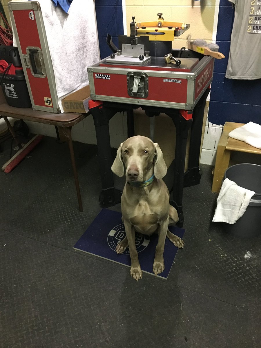EQdaddy's tweet photo. He went out a champion! Thank you to my assistant forever! Best dog…best friend! Love you Jack! EQ room will never be the same… https://t.co/wSJsAWUODn