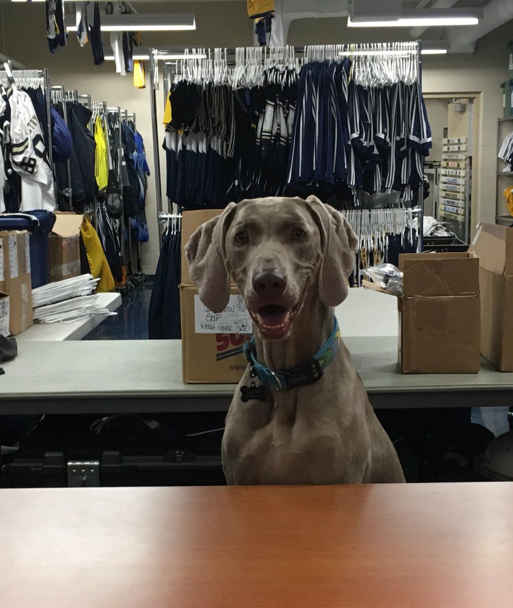 EQdaddy's tweet photo. He went out a champion! Thank you to my assistant forever! Best dog…best friend! Love you Jack! EQ room will never be the same… https://t.co/wSJsAWUODn