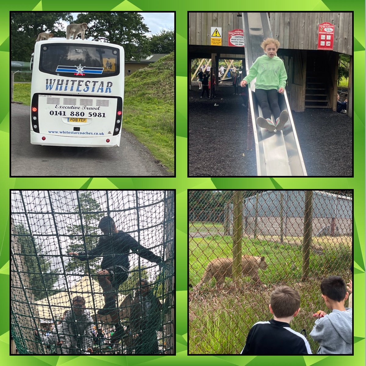 Mrs Allan tweet media