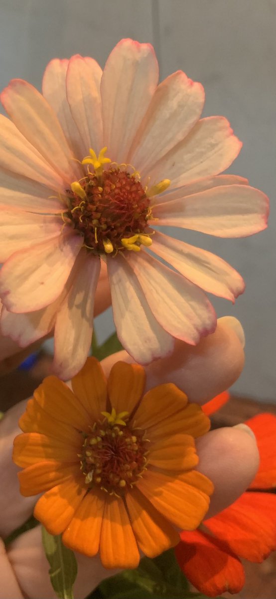 Buen inicio de semana con estas bondades de Dios!!