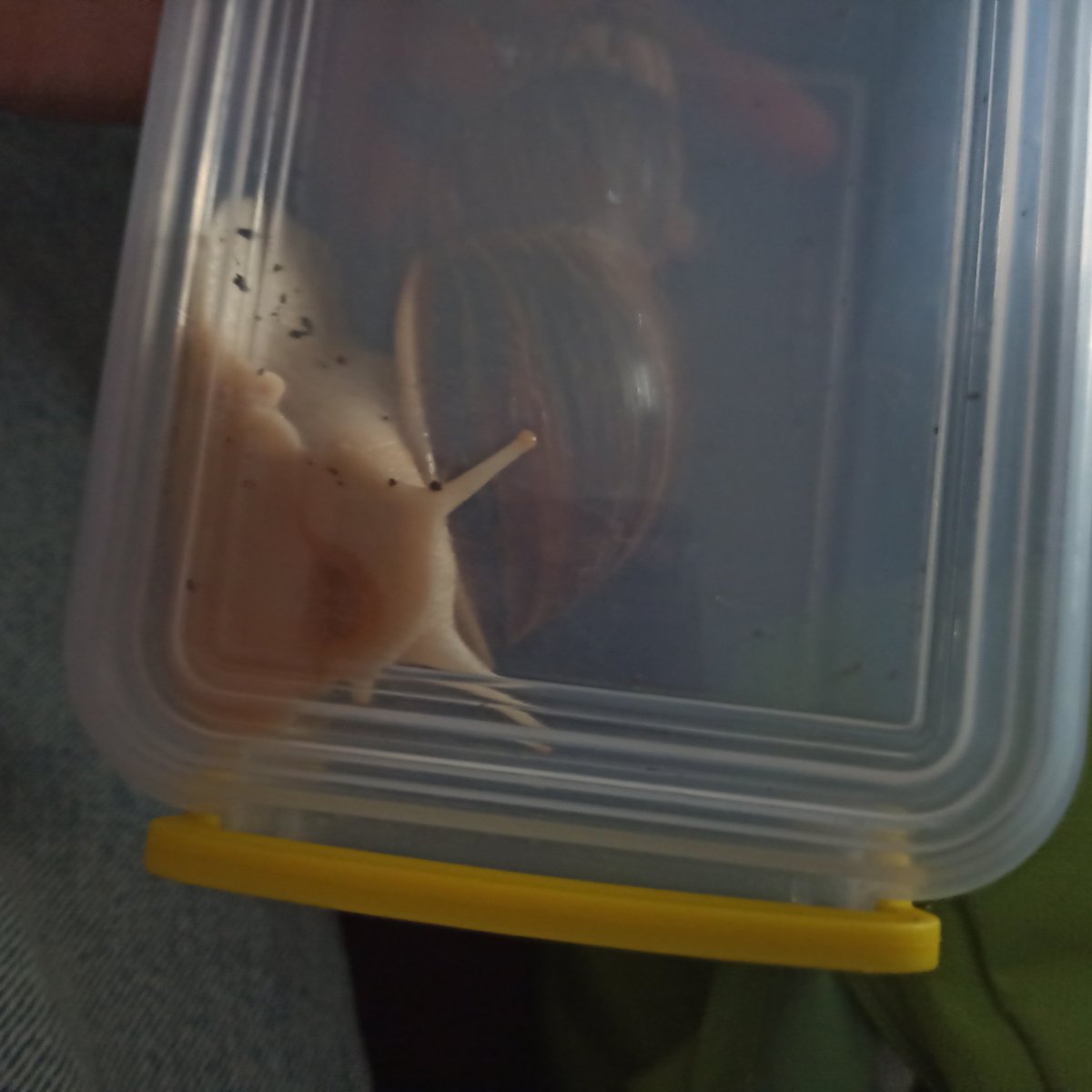 Why is he acting like this😭🤣