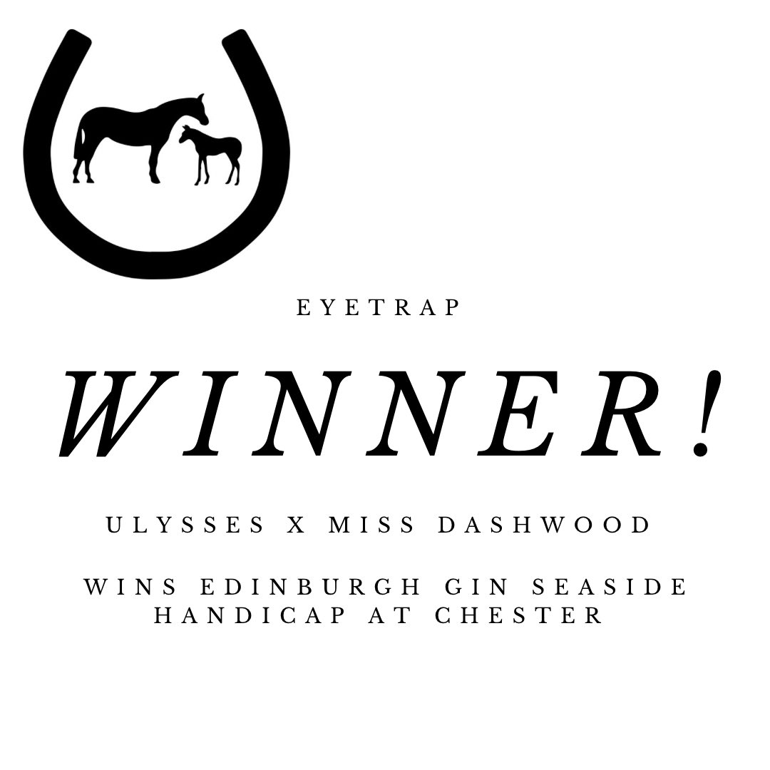14th win of the 2024 Season 

As EYETRAP ( Ulysses X Miss Dashwood) wins Edinburgh Gin Seaside Handicap congratulations to all connections. 
Owner : P W Harris 
Trainer : Jane Chappell - Hyam 
Jockey : Jonny Peate