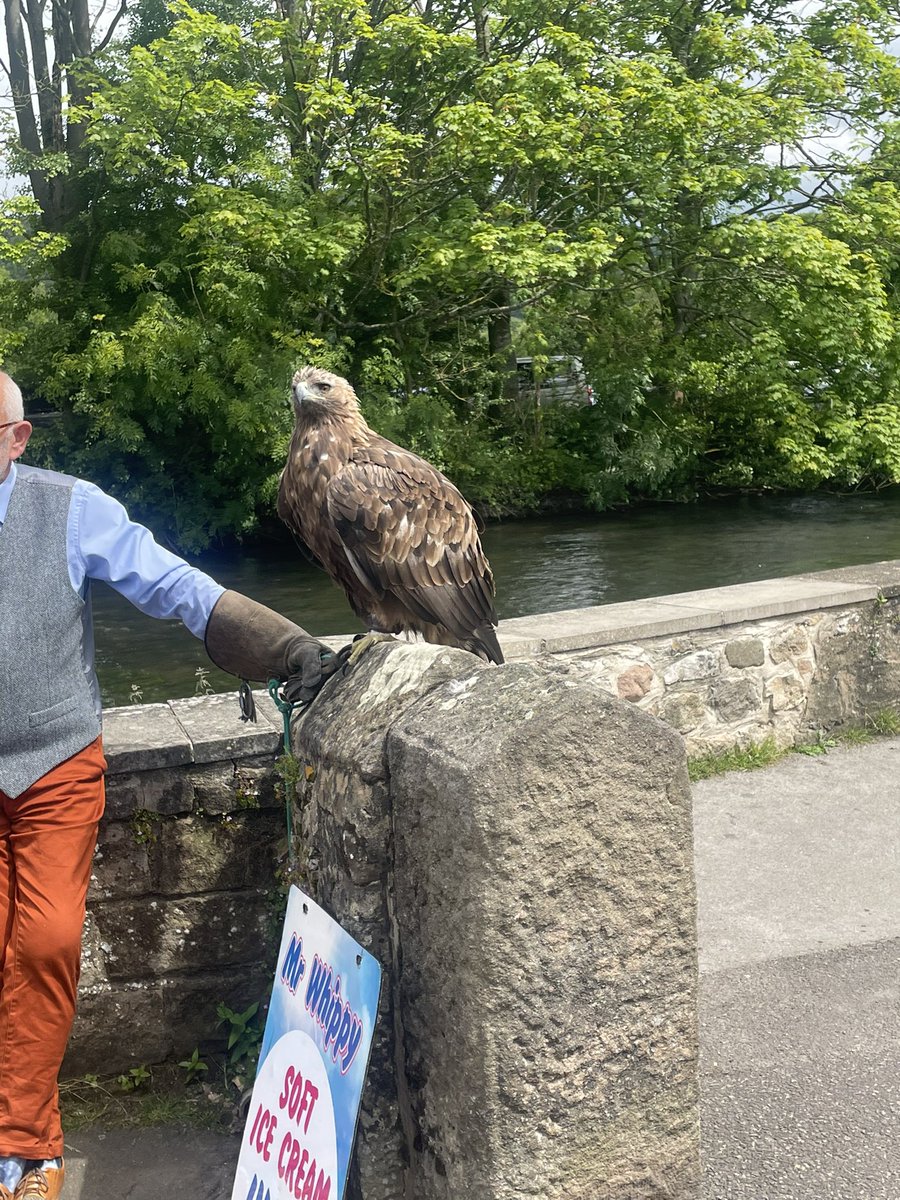 Jessica05595610's tweet image. Today, I was lucky enough to lead my y7 class on fieldwork at Chatsworth and Bakewell. Just blooming wonderful @BCSchool1