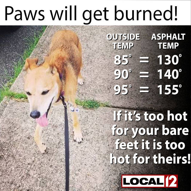 Local 12/WKRC-TV tweet media