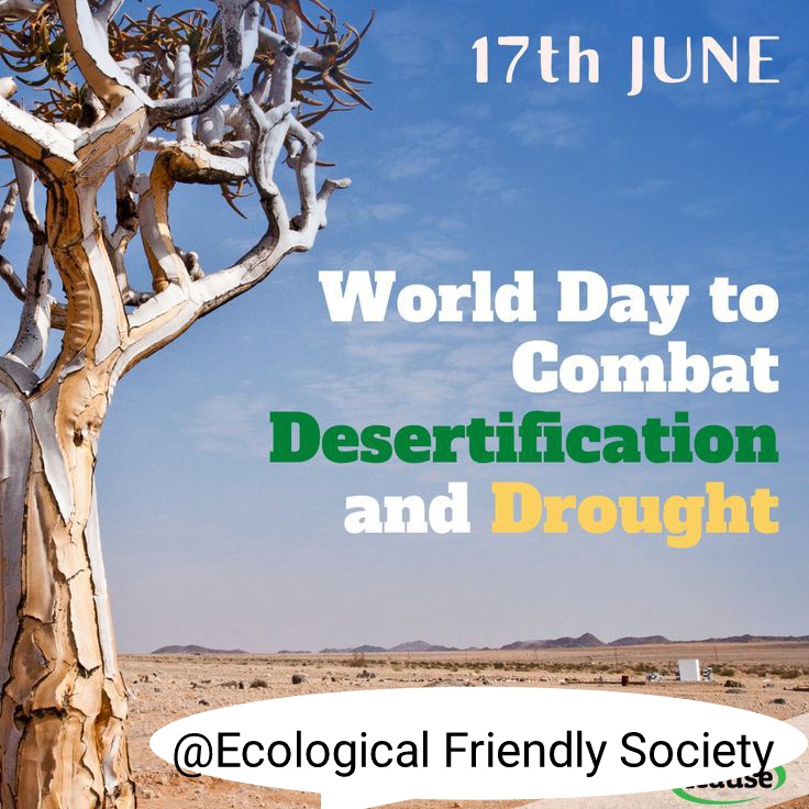 Let's stand together against desertification &amp; land degradation! Protecting our land, water, &amp; biodiversity is crucial for a sustainable future. #WorldDesertificationDay #DesertificationAndDrought #Sustainability
#EcofriendInAction