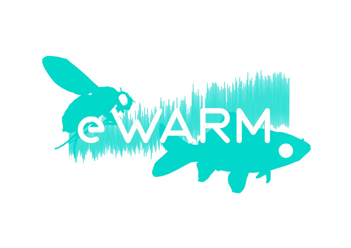 Ignacio Peralta-Maraver (@peralta_maraver) on Twitter photo The <a href="/MSCActions/">Marie Skłodowska-Curie Actions</a> #eWARM project continues in <a href="/Radboud_Uni/">Radboud University</a> . Now, training with <a href="/wcepverberk/">Wilco C.E.P. Verberk</a> in experimental procedures to study the interaction of thermal stress with other environmental stressors in aquatic organisms (with an exceptional assistant in the field!). The <a href="/MSCActions/">Marie Skłodowska-Curie Actions</a> #eWARM project continues in <a href="/Radboud_Uni/">Radboud University</a> . Now, training with <a href="/wcepverberk/">Wilco C.E.P. Verberk</a> in experimental procedures to study the interaction of thermal stress with other environmental stressors in aquatic organisms (with an exceptional assistant in the field!).
