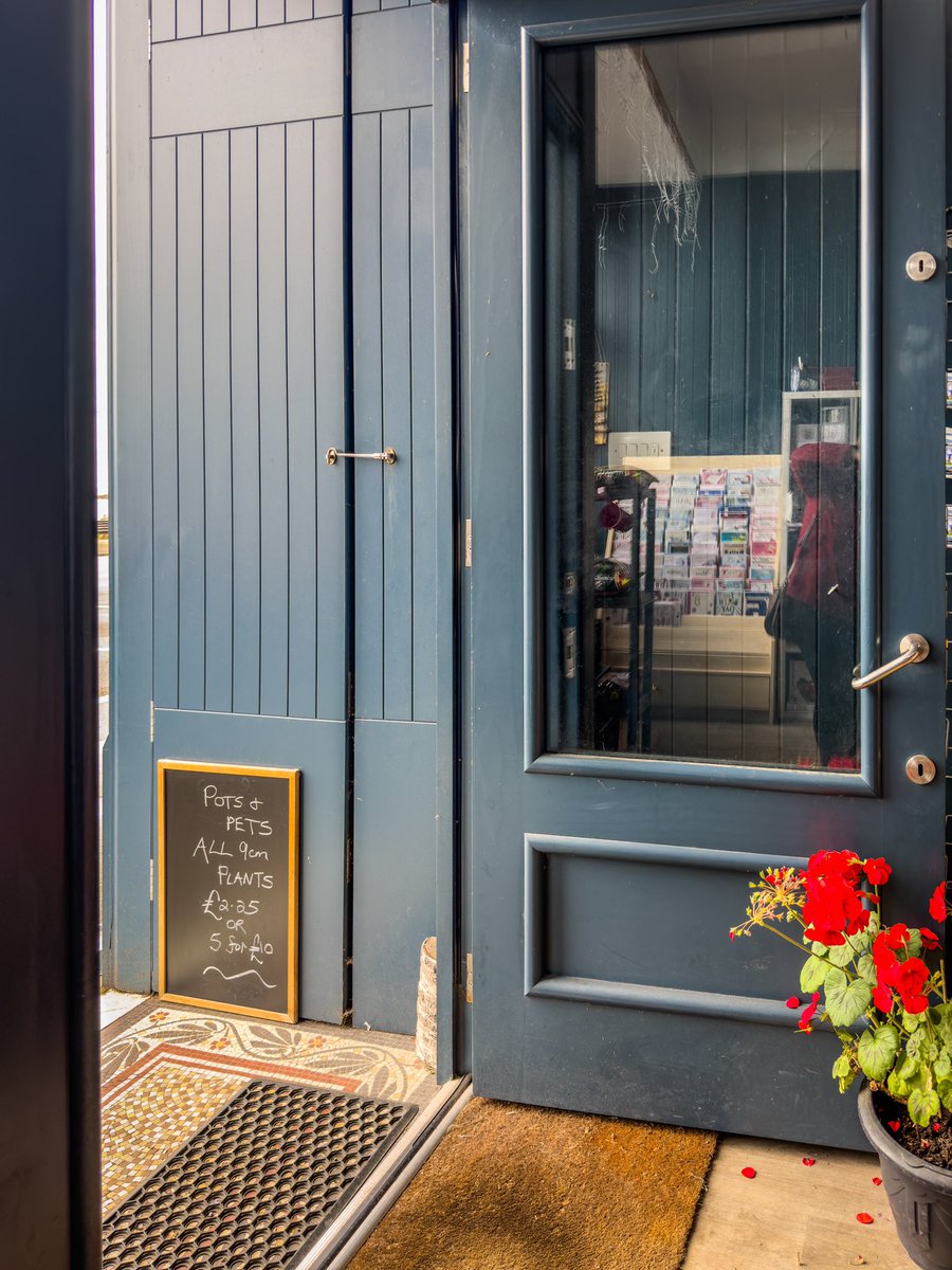 Discover the unique charm of Pots and Pets on Millport, Isle of Cumbrae. From beautiful crockery, cups, and candles to dog chews and fresh flowers, Gail's shop offers a delightful selection for everyone. Your one-stop shop for all things special. Visit Pots and Pets today!