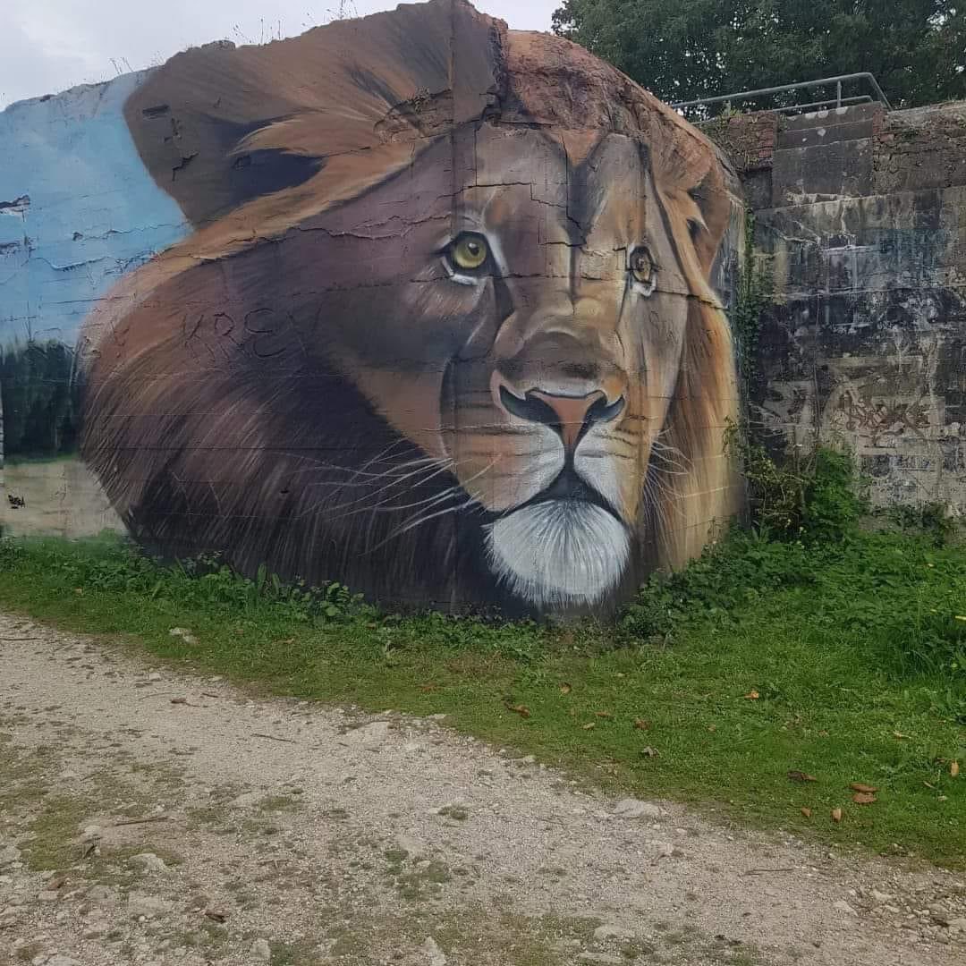 🦁

#StrretArt #Graffiti