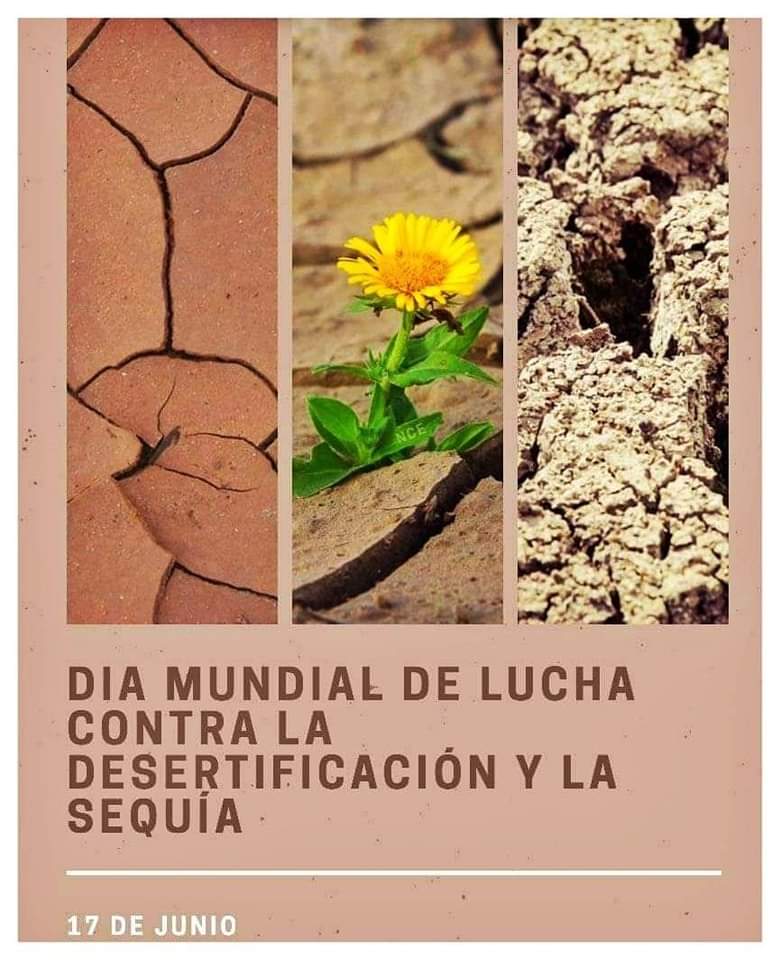 Cada esfuerzo cuenta. 
Día Mundial de Lucha  Contra la Desertificación y la Sequía. 
Protejamos al planeta para la  nuestra y futuras generaciones. 
#PlazaPorMásSalud
#LaHabanaEsSalud 
#LaHabanaDeTodos