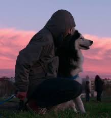Glen Zipper (@zipper) on Twitter photo Learned this morning that beloved Zeus from <a href="/Netflix_Dogs/">DogsOnNetflix</a> has passed away. Never before have I seen a documentary subject, human or otherwise, capture the hearts of so many. It goes without saying that the only flaw dogs bring with them are how short a time they stay. Learned this morning that beloved Zeus from <a href="/Netflix_Dogs/">DogsOnNetflix</a> has passed away. Never before have I seen a documentary subject, human or otherwise, capture the hearts of so many. It goes without saying that the only flaw dogs bring with them are how short a time they stay.