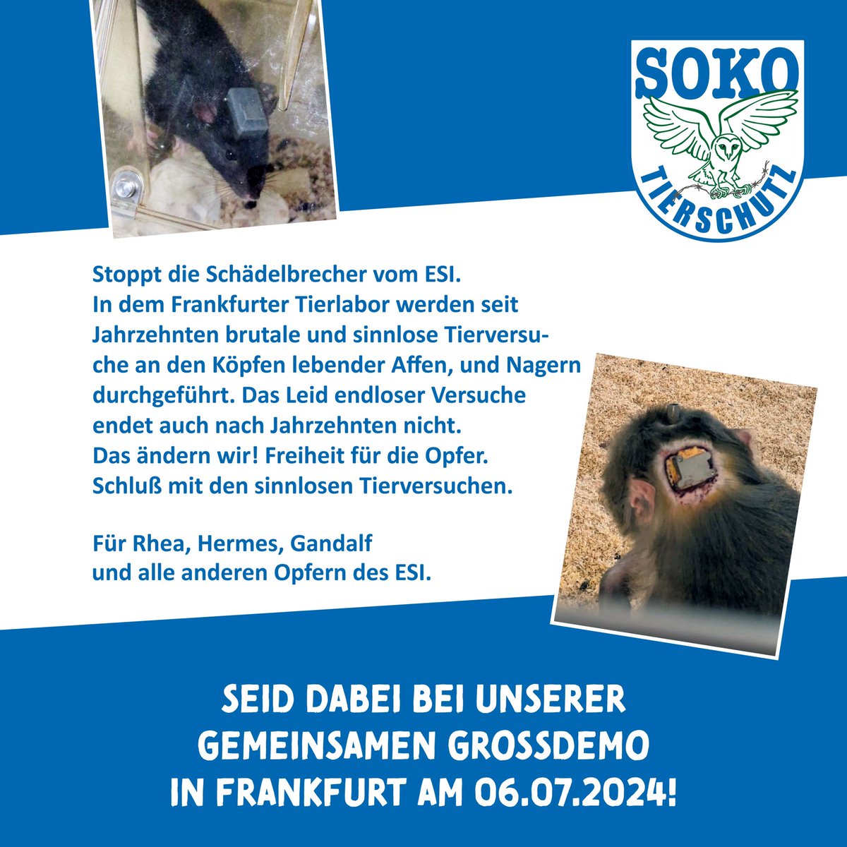 SOKO_Tierschutz's tweet image. 