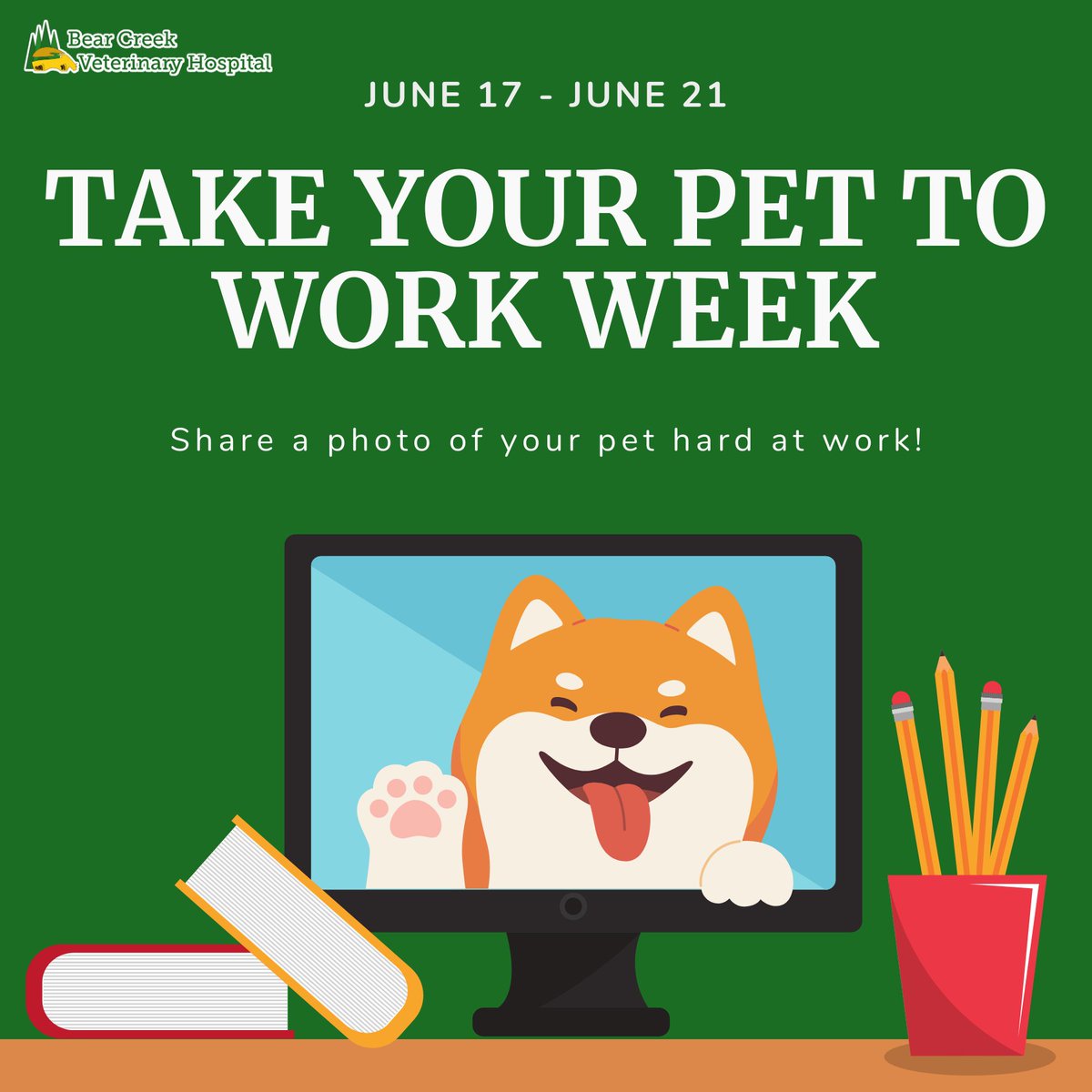 bearcreekveth's tweet image. Show us your office assistant hard at work! Share a photo of your pet in action for Take Your Pet to Work Week! 📸🐾 #PetAtWork #TakeYourPetToWorkWeek