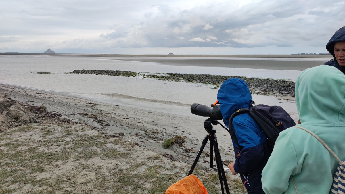 Premier jour du séjour
"Caractère Maritime" pour les CeCm de Vesly
Découverte de la baie sédimentaire par lecture de paysage, cartographie, ateliers scientifiques et mathématiques ....
<a href="/EPMontStMichel/">Etablissement public du Mont Saint-Michel</a> 
<a href="/dsden50/">DSDEN 50</a>
