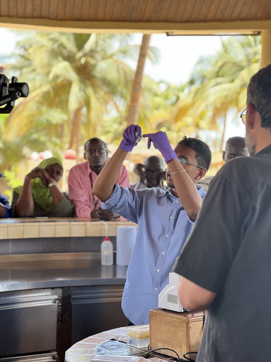 🌟In early June, our @nihrglobal Research Group on #DigitalDiagnostics for #AfricanHealthSystems rocked The Gambia! Hosted by @MRCGambia we had inspiring discussions on transforming Gambian health systems with innovative <a href="/ProtonDx/">ProtonDx</a> diagnostics. Details @ bit.ly/45rmn7Y!