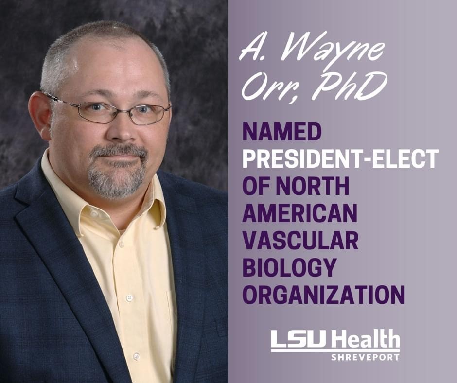 LSU Health Shreveport Pathology (@lsuhs_pathphd) on Twitter photo Congrats to Dr. Wayne Orr, Director of the LSUHS CCDS and Professor and Director of the LSU Health Shreveport Department of Pathology & Translational Pathobiology/Research Division, on being named the 2024-2025 President-Elect of the North American Vascular Biology Organization! Congrats to Dr. Wayne Orr, Director of the LSUHS CCDS and Professor and Director of the LSU Health Shreveport Department of Pathology & Translational Pathobiology/Research Division, on being named the 2024-2025 President-Elect of the North American Vascular Biology Organization!