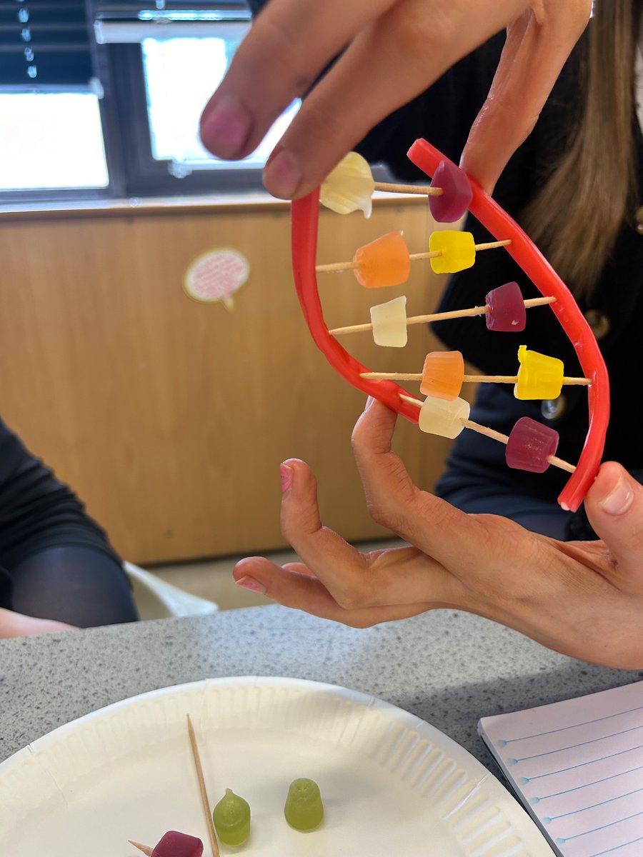 BraeviewScience tweet media