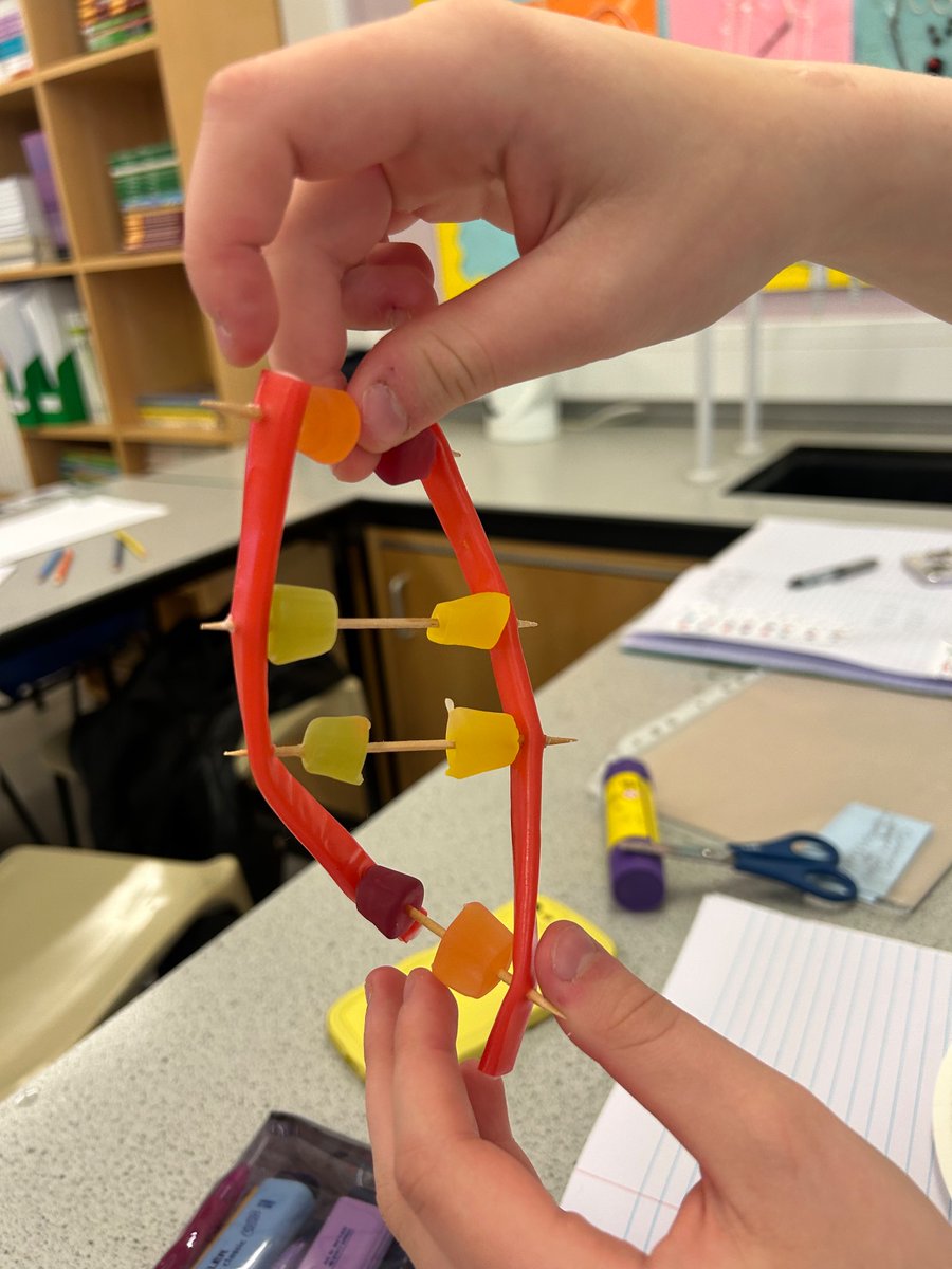 BraeviewScience tweet media