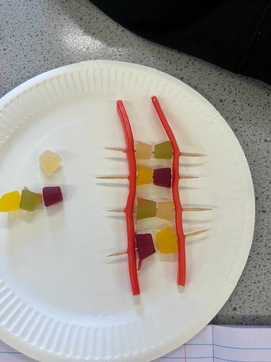 BraeviewScience tweet media