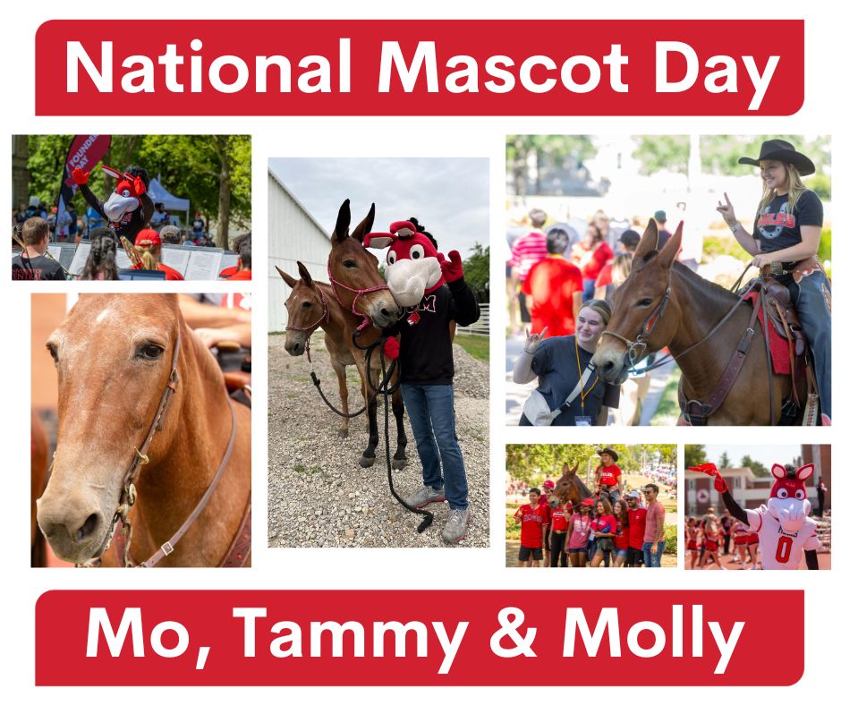 Our Stomping Ground wouldn't be the same without them. #NationalMascotDay