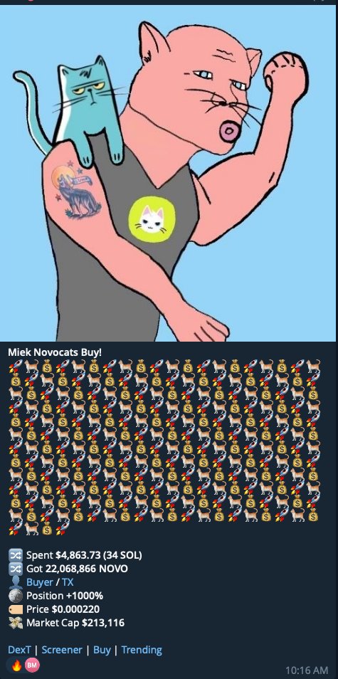 Real_Novocats's tweet photo. Absolute chads in the #Novocats community. Come join the party. Novocats is the King of all Cats. $NOVO https://t.co/p4hJs89qdM