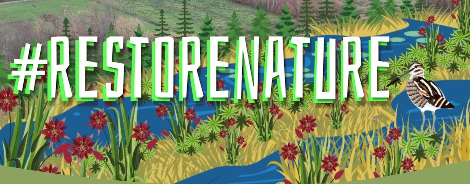 ARKNatuur's tweet image. De #natuurherstelwet is er door!

80% Van de NLse bevolking kan worden gekenmerkt als ‘natuurmens’. Bijna de helft van de Nederlanders zou dichter bij de natuur willen leven: ipsos-publiek.nl/actueel/nederl…

Nederland verdient meer wilde natuur 💚
#rewilding #restorenature