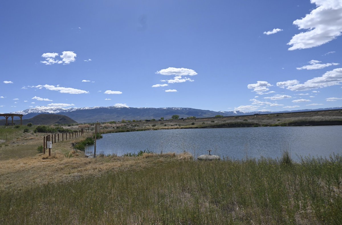 OurTownReno's tweet photo. The Truckee Meadows Park Foundation Perseveres in Preserving and Restoring Local Wetlands ... #keeprenogreen article by Ray Grosser here: https://t.co/3ucVbzj0Gj https://t.co/0meEJcnYWm