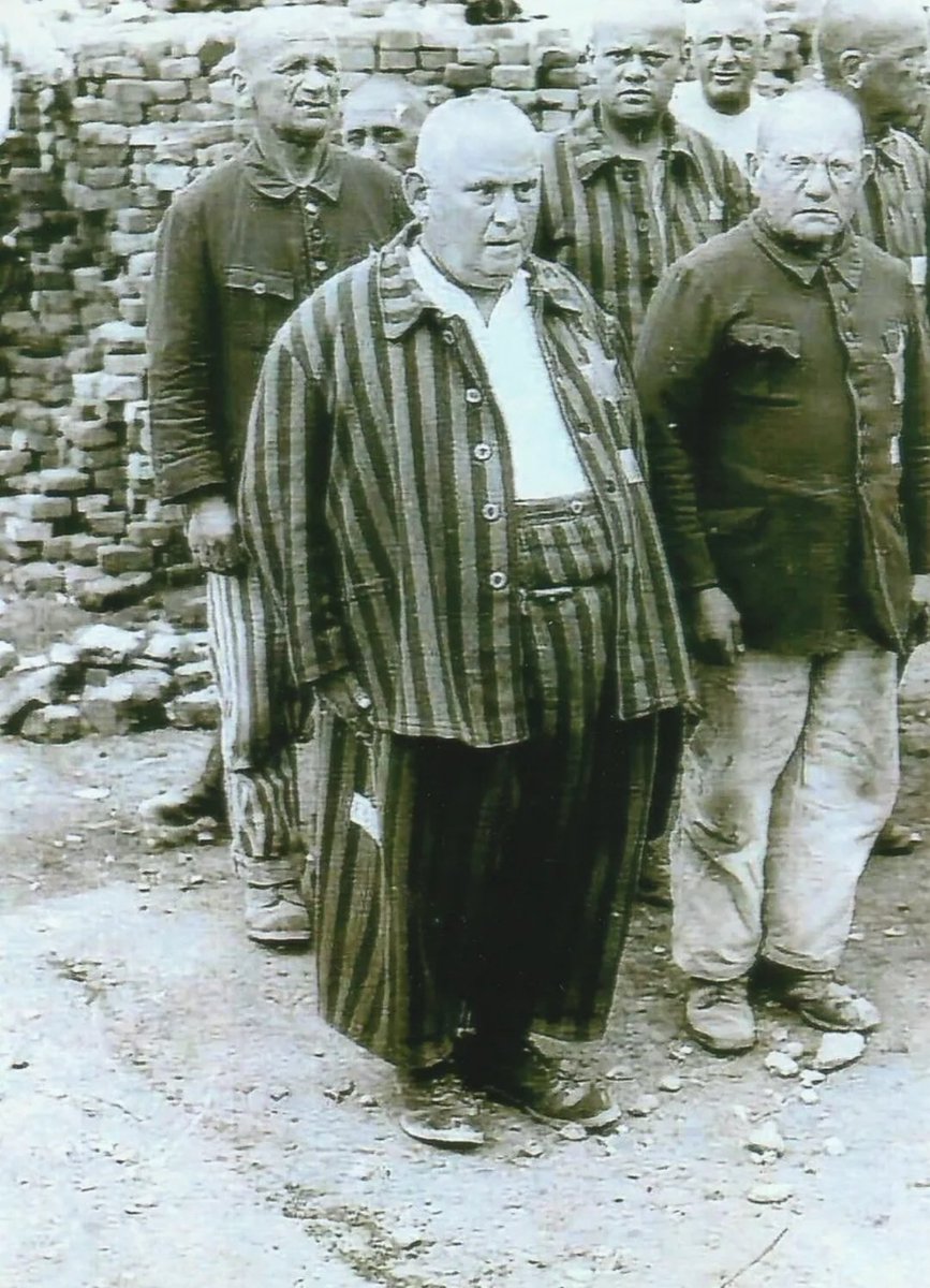 YoursMemely's tweet image. "There was Holocaust."