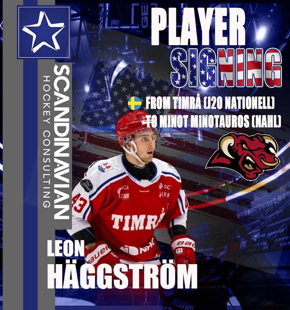 Scandinavian Hockey tweet media