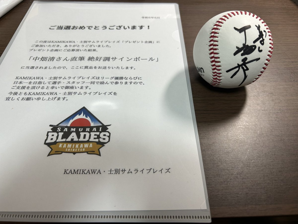 横浜Denaベイスターズ70 中畑清監督 直筆サイン球団ロゴボール 初代