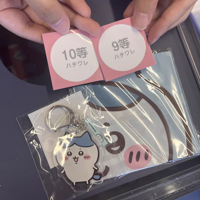 〜去年の冒険王の思い出〜

くじ引く時にスタッフのお姉さんにハチワレ好きなんですね!出ますように〜!って声かけられて、なんとかなれーッて引いたら2つともハチワレちゃん🥺♡
記念に撮らせてもらった🙌

今年の冒険王も楽しみだ〜!!
あのこのオブジェが気になる〜!!! 