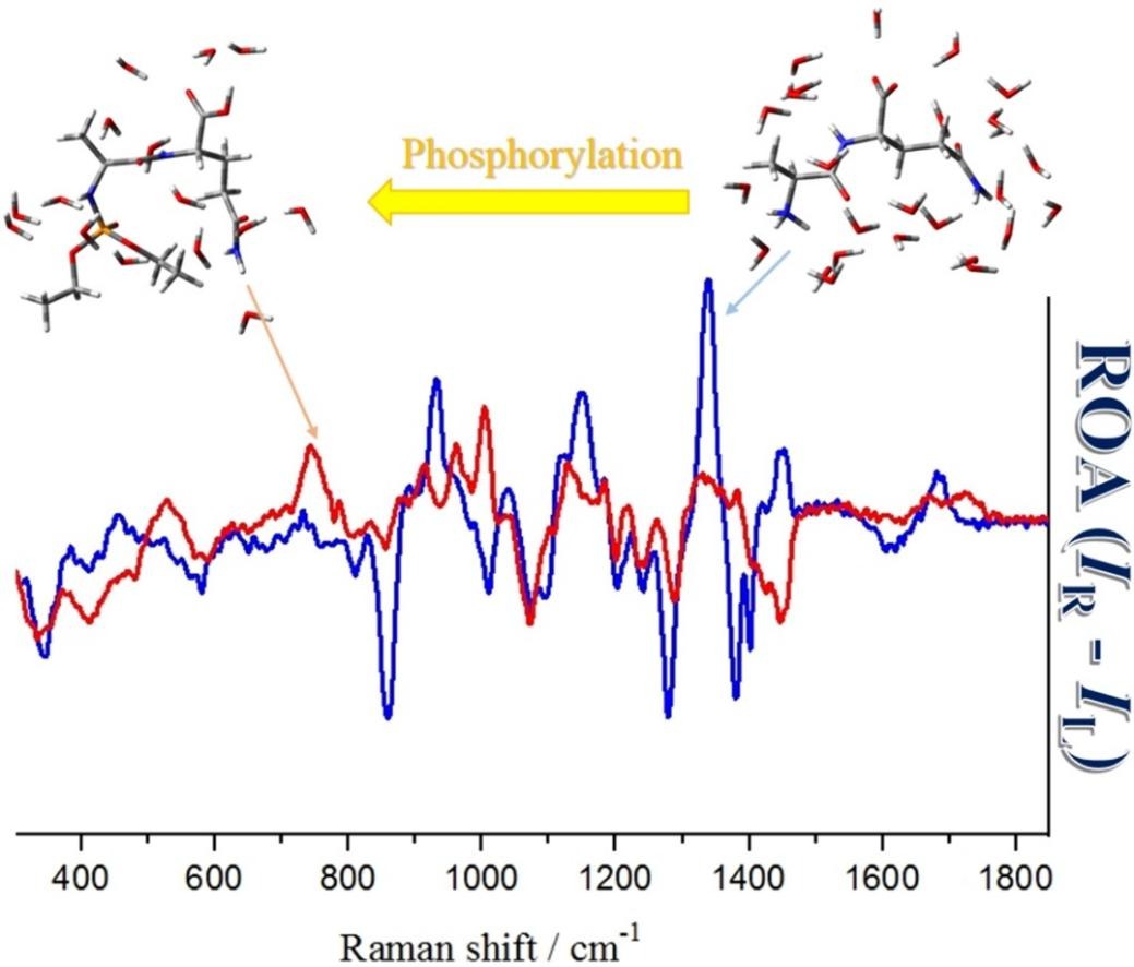IOCBPrague's tweet photo. #research #ROAspectroscopy #PeptidePhosphorylation
Phosphorylation site of L-alanyl-L-glutamine identified by Raman optical activity spectroscopy (Wu @Prahagle, Zhao) - Spectrochimica Acta Part A: https://t.co/mx1r6ZhsYe

@IOCBPrague #NingboUniversity #XiamenUniversity https://t.co/Ql9dNihjwt