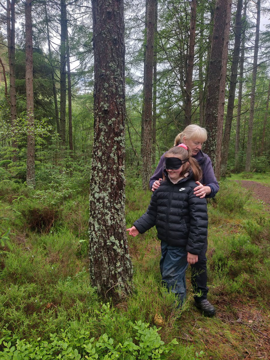 silverhaar1's tweet photo. A thank you outing to Bennachie for @woodside_school  gardeners for all their hard work in the school grounds, you've been great! Thanks too the @UK_Treescapes team for enabling &amp; Garioch Ranger, Alison Sutherland for a fab day 🙂
#funinthewoods #celebratingpeople https://t.co/YYc6JHHtBK