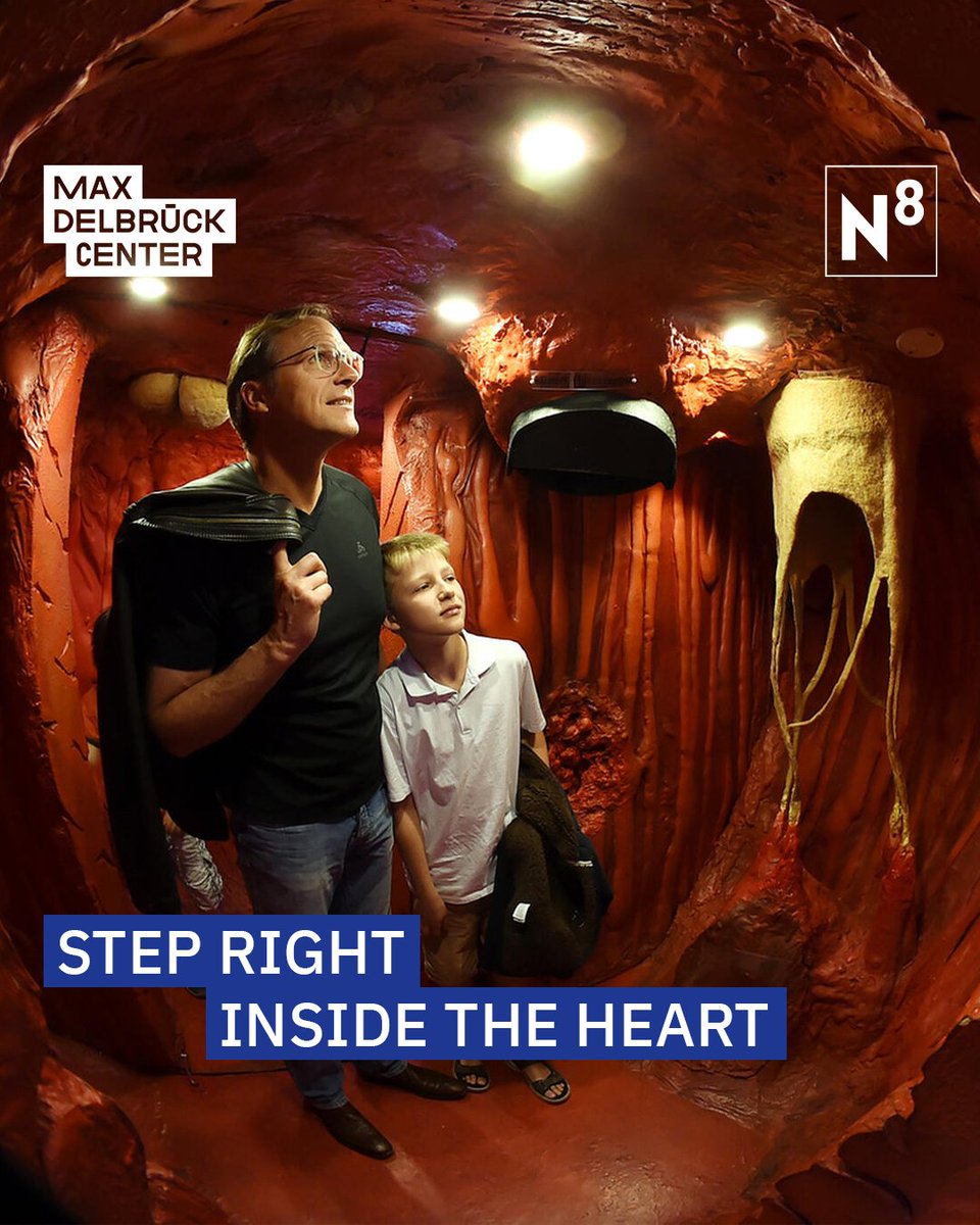 Max Delbrück Center (@mdc_berlin) on Twitter photo Experience #science first-hand and enter the model of a human heart during #LNDW24 at the #mdcBerlin! 🤯 See you Saturday. 🗓️
#Wissenschaft erleben könnt ihr u.a. im begehbaren Herz während der <a href="/LNDWBerlin/">LNDWBerlin</a> auf dem <a href="/campusbuch/">Campus Berlin-Buch</a>! 🤯 Wir sehen uns am Samstag. 🗓️ Experience #science first-hand and enter the model of a human heart during #LNDW24 at the #mdcBerlin! 🤯 See you Saturday. 🗓️
#Wissenschaft erleben könnt ihr u.a. im begehbaren Herz während der <a href="/LNDWBerlin/">LNDWBerlin</a> auf dem <a href="/campusbuch/">Campus Berlin-Buch</a>! 🤯 Wir sehen uns am Samstag. 🗓️
