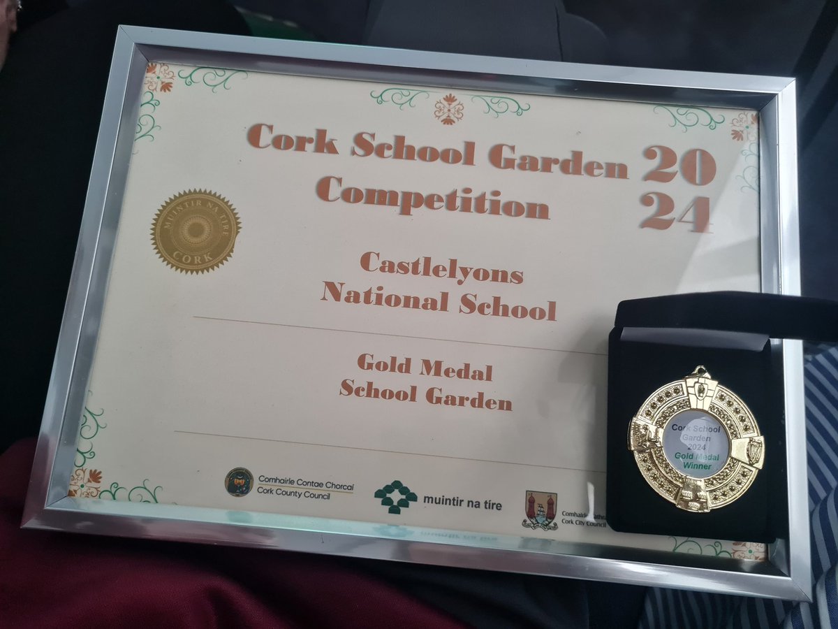 Castlelyons NS tweet media