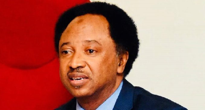 PO_GrassRootM's tweet photo. El-Rufai neglected  the Southern Kaduna people for eight years – Shehu Sani. https://t.co/BeSNSnrXyd