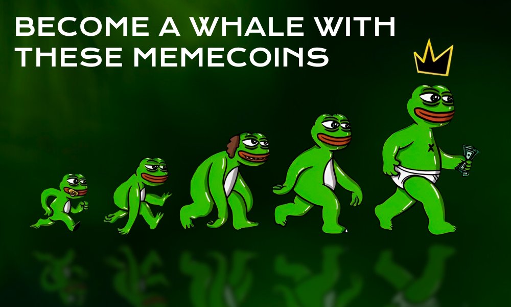 Snipe of $NORMIE made me from $100 into $700,000

Snipe of $BRETT made me from $50 into $400,000

Those who snipe memecoins on $BASE are making 300-1000x daily

Check the list of next up coins you MUST snipe 🧵