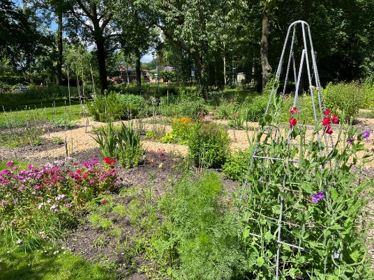 De laatste loodjes (laatste aanplant, houtsnippers op de paden) en dan is het zover: vanaf zondag 23 juni kan je elke zondag komen plukken van 11-13 uur.